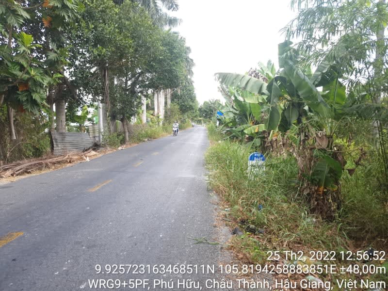 CT59, xã Phú Hữu, suốt tuyến - Ảnh 1