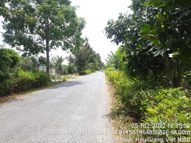 CT60, xã Đông Phước, suốt tuyến - Ảnh 1