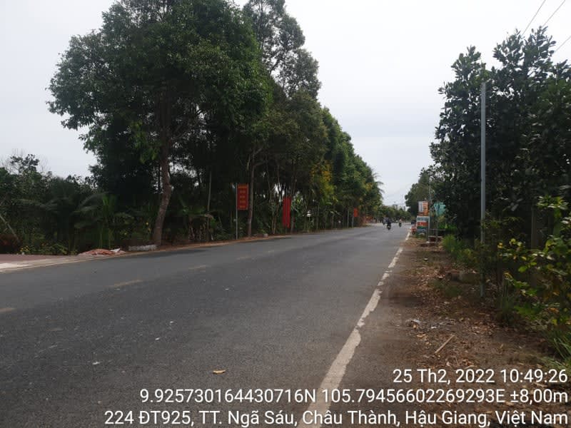 CT55, TT ngã sáu, suốt tuyến - Ảnh 1