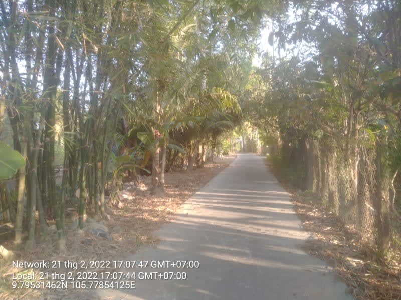 PH50(2) lộ nông thôn xã Phụng Hiệp xã Phương Bình cũ - Ảnh 1