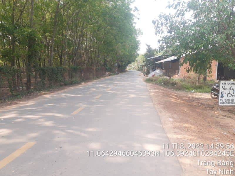 TRB171 Đường Cầu Chùa - Ảnh 1