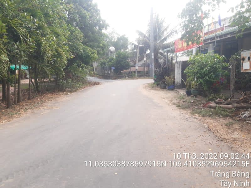 TRB99- Đường Suối Sâu Đi Thái Mỹ - Ảnh 1