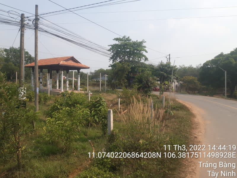 TRB176- Đường Lộc Vĩnh - Lộc Chánh - Ảnh 1