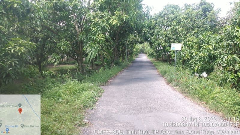 CLH144 - Đường nhựa cầu Long Hồi - cầu Nhạc Thìn - Ảnh 1