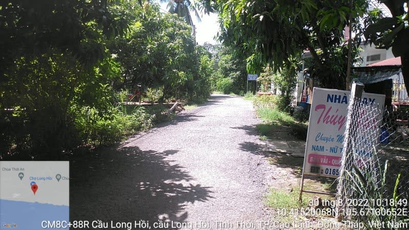 CLH145 - Đường nhựa cầu Long Hồi - Ngã Quát - Ảnh 1