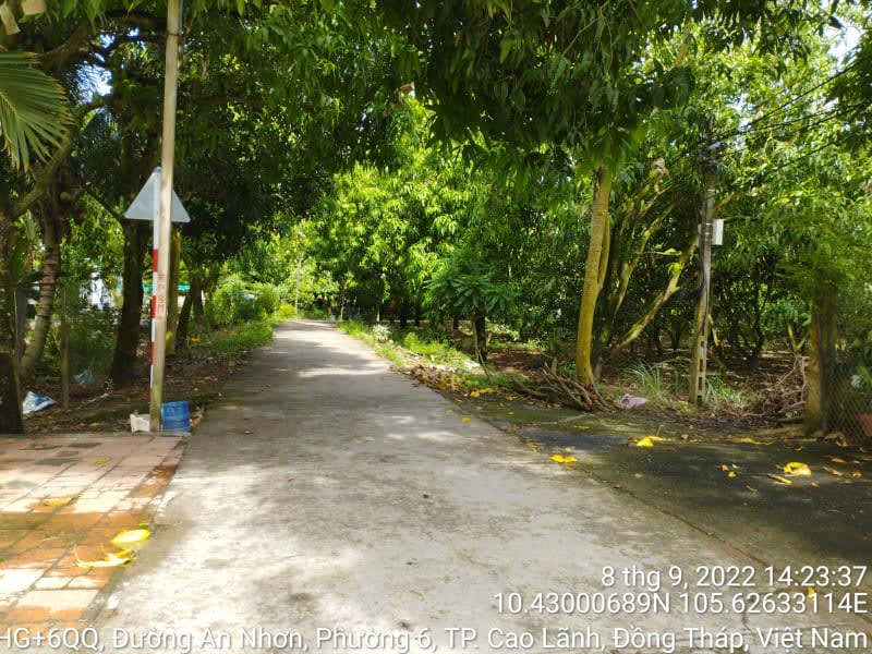 CLH323_Đường đan tổ 34, 35, 36 - Ảnh 1