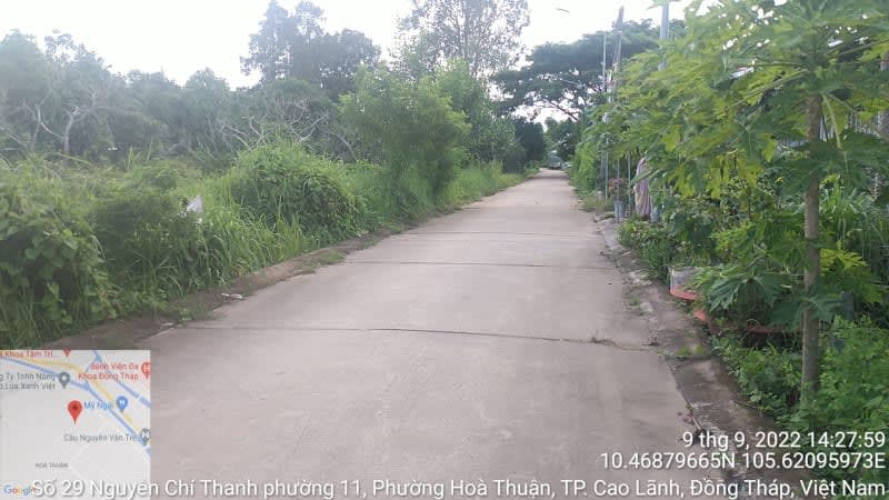 CLH435 Đường đan Hàn Me ( khu chuồng bò) - Ảnh 1