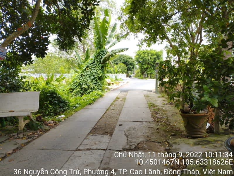 CLH320_Đường tổ 18 khóm 3 - Ảnh 1