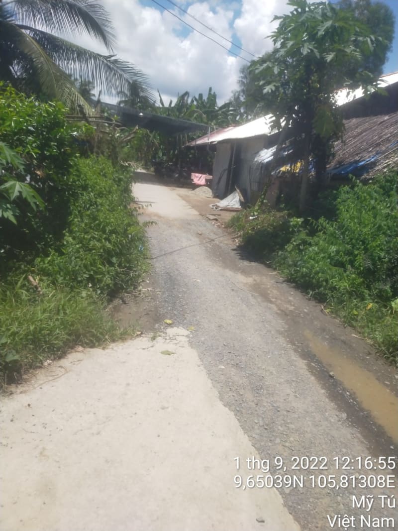 MT01 - Trần Hưng Đạo - Ảnh 1