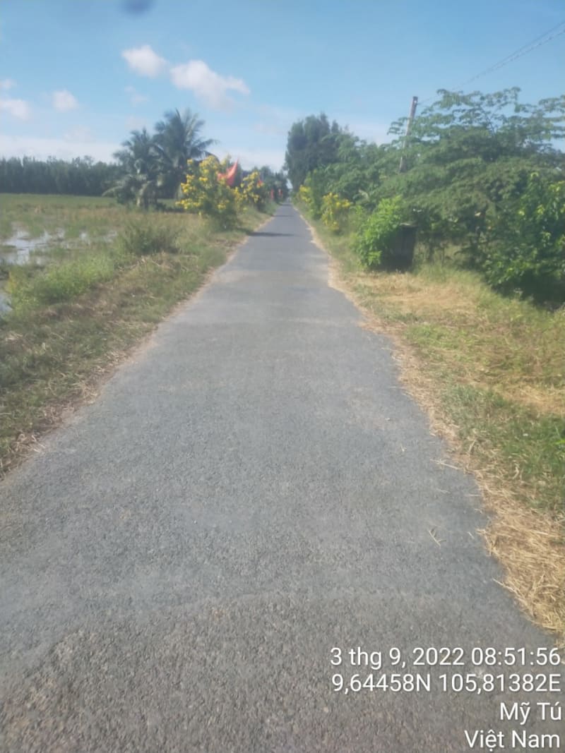 MT40 - Đường trung tâm xã Long Hưng (Đường C2) - Ảnh 1