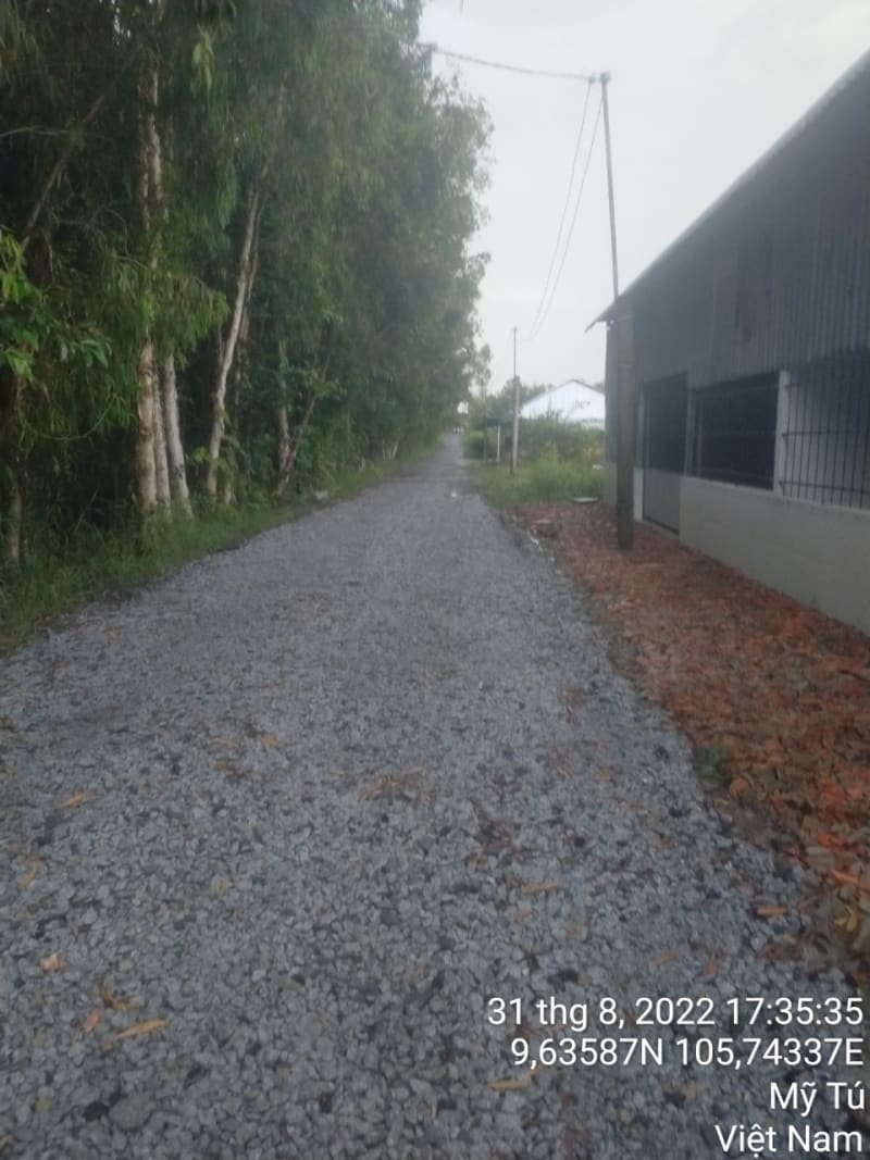 MT80 - Đường Huyện 81 (trung tâm xã Hưng Phú) - Ảnh 1