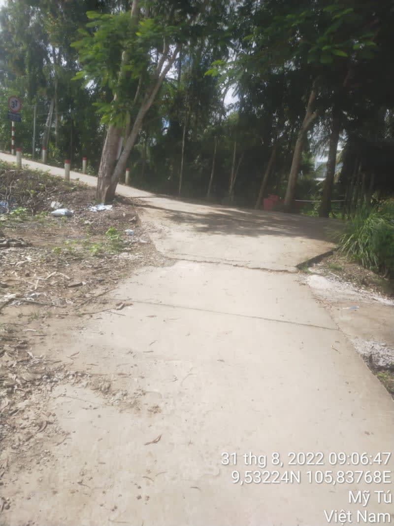 MT108 - Lộ rạch Bố Thảo Bờ Tây - Ảnh 1