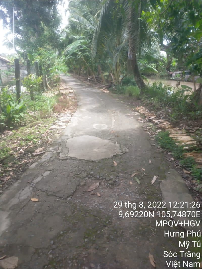 MT170	- Đường đal - Ảnh 1