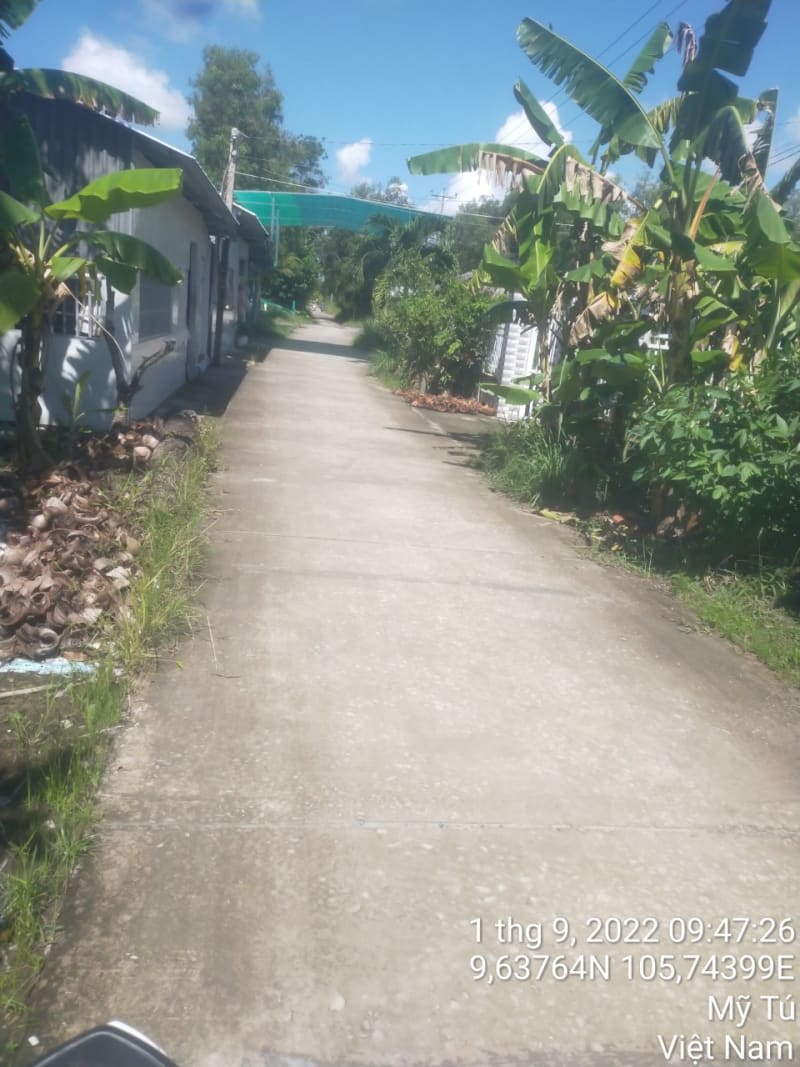 MT171- Đường Huyện 84 - Ảnh 1