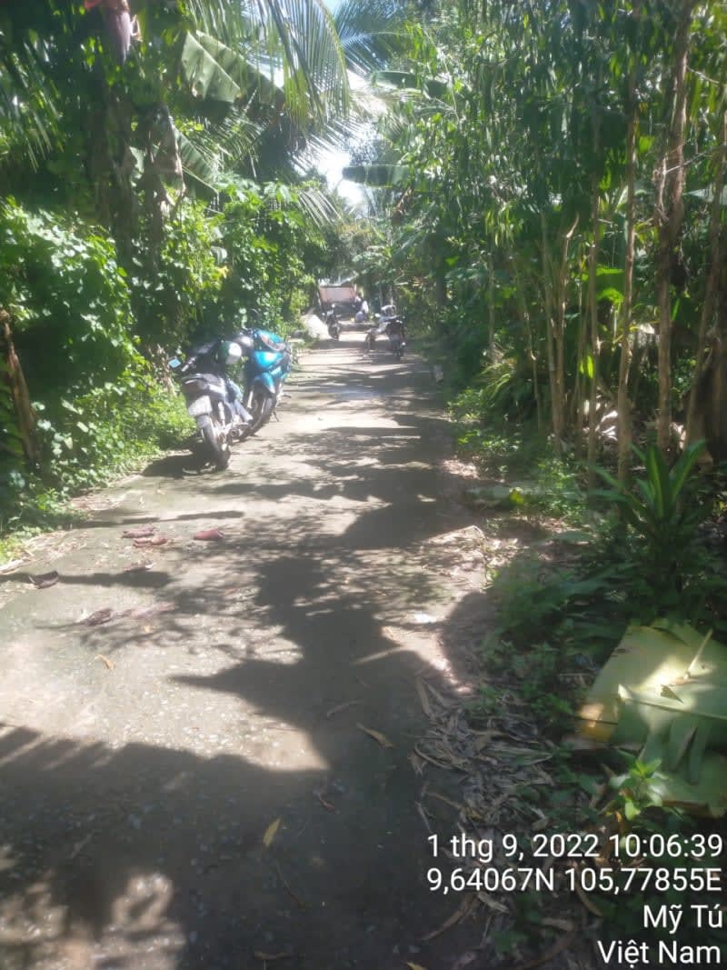 MT172 - Đường Huyện 86 - Ảnh 1