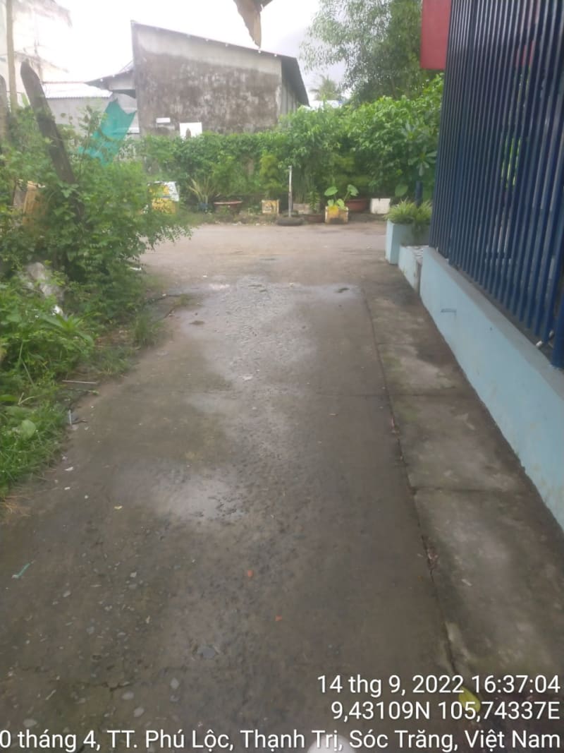 TT49 - Đường số 2 - Ảnh 1