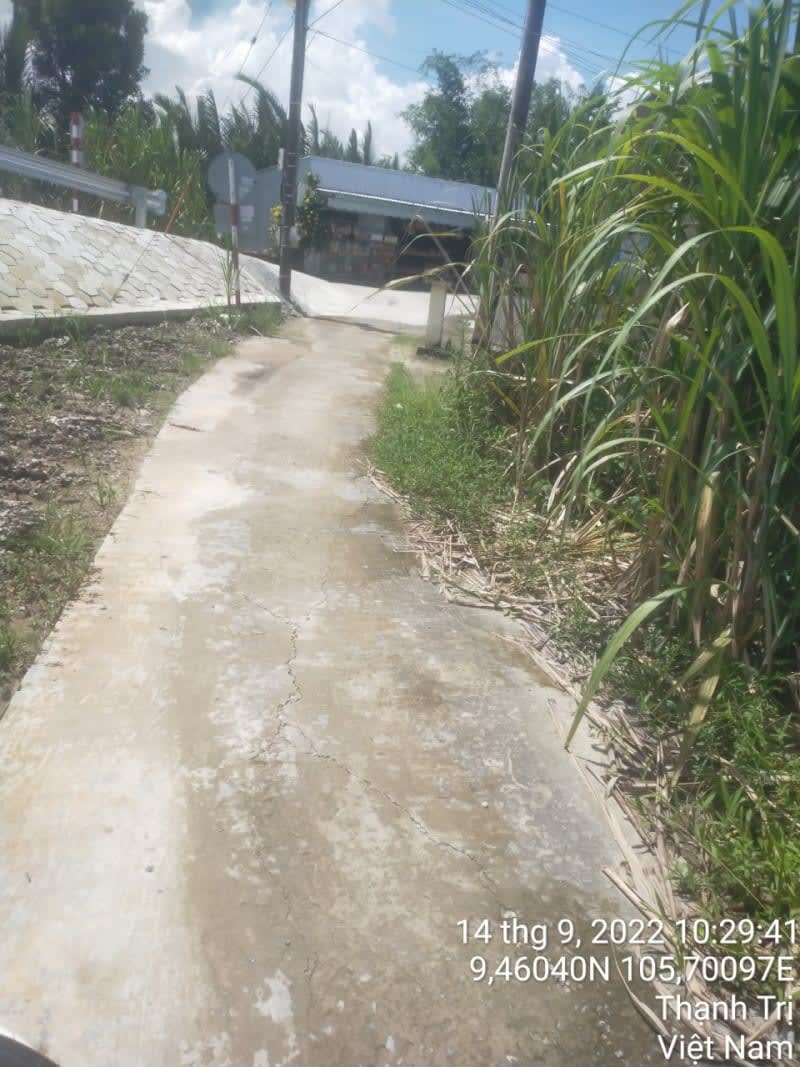 TT137 - Lộ đal Mây Dóc - Ảnh 1