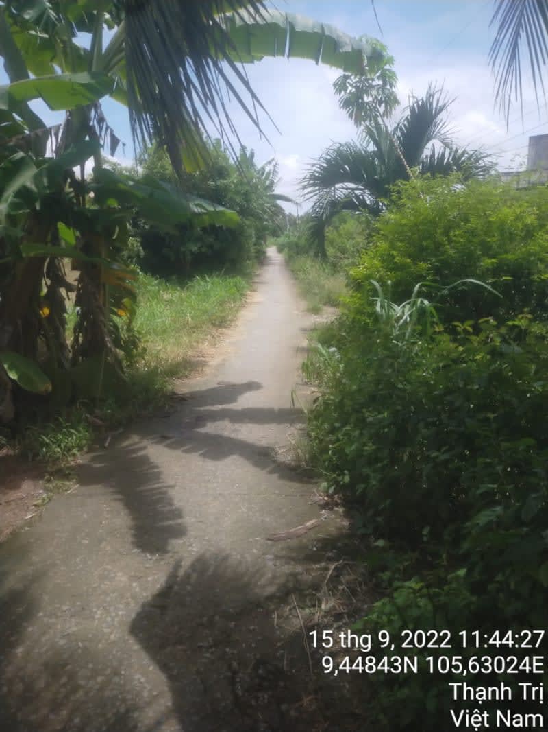 TT177 - Lộ đal Ấp 15 - Ảnh 1