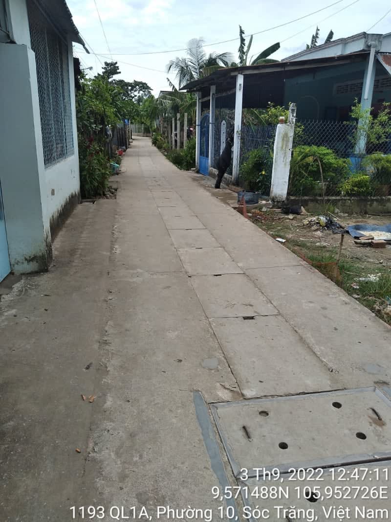 ST256	Hẻm nhánh 1185/5 (P10) - Ảnh 1
