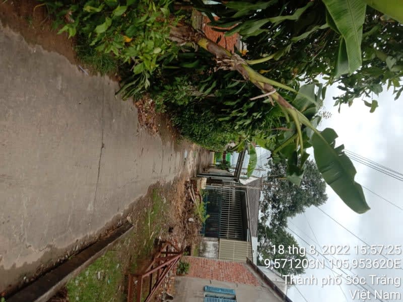 ST137	Hẻm 344 (P10) - Ảnh 1