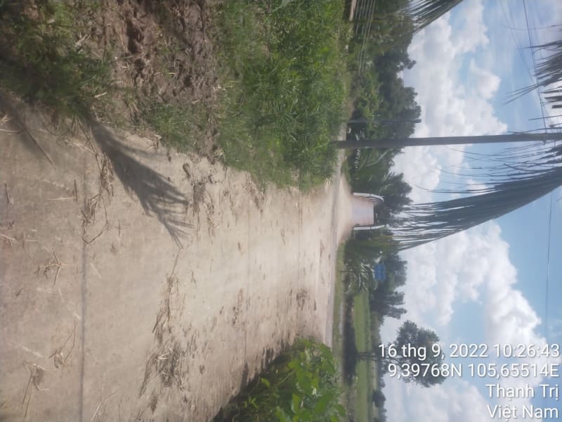 TT232-Lộ đal ấp Tàn Dù (2 Si) - Ảnh 1