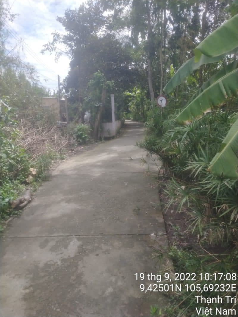 TT107-Lộ ấp số 9 - Ảnh 1