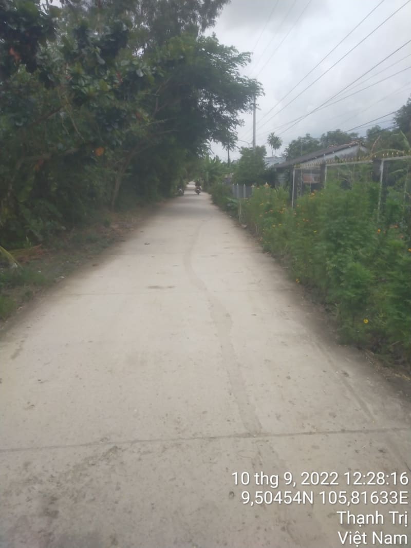 TT213-Lộ đal ấp Lợi - Ảnh 1