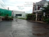 Thumb 7