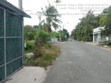 Thumb 6