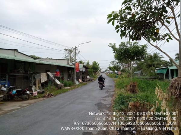 CTA31 đường ô tô về trung tâm xã thạnh xuân (đường nguyễn việt hồng), xã Thạnh Xuân, từ QL61 đến sông Láng Hầm - Ảnh 5