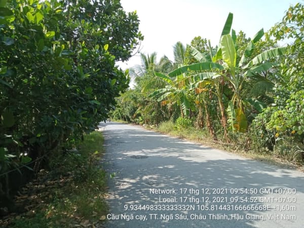 CT04 Cầu Ngã Cạy về Cầu Cơ Ba TT Ngã 6 Châu Thành - Ảnh 4