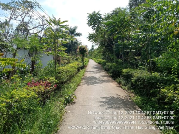 NB66Tuyến Kênh Đứng, Xã Tân Thành, từ Ngã tư Sơn Phú 2A đến Vàm Bưng Thầy Tầng - Ảnh 5