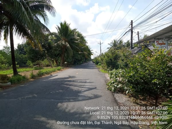 NB70 Đường về trung tâm xã Tân Thành (lộ cũ), Xã Tân Thành, từ Ngã ba lộ mới (đường tránh) đến Cầu Ngã tư Sơn Phú 2A (đường lộ cũ) - Ảnh 3
