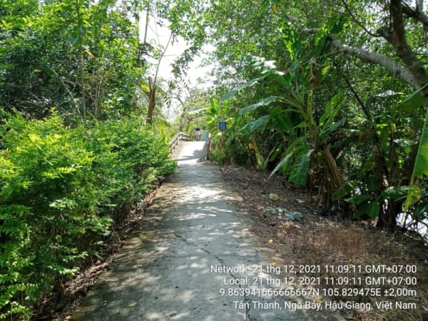 NB68 Tuyến kênh Bảy Thưa,Xã Tân Thành - Ảnh 4