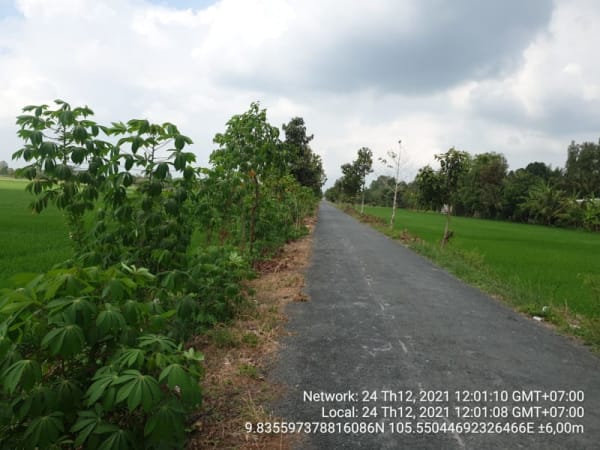 VTY 28 đường Ba Liên - ông tà, xã Vị Trung, từ ranh phường V tp Vị Thanh đến kênh chín thước - Ảnh 5