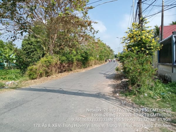 VTY93 Đường về xã Vị Trung, Thị trấn Nàng Mau, từ Quốc lộ 61 đến Ranh xã Vị Trung - Ảnh 2