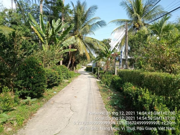 VTY95 Đường ấp 5 - thị trấn Nàng Mau, Thị trấn Nàng Mau, từ Nguyễn Tri Phương đến Ranh xã Vị Thắng - Ảnh 4