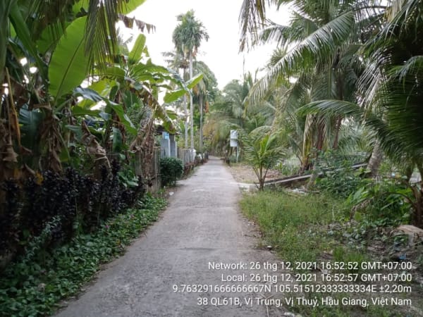VTY21 Tuyến mương lộ song song Quốc lộ 61 (hướng về thành phố Vị Thanh), Thị trấn Nàng Mau, từ Ranh thị trấn Nàng Mau đến Quốc lộ 61C - Ảnh 3