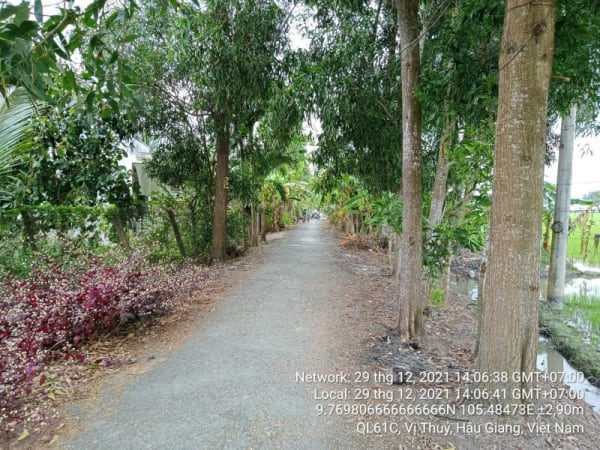 VT74 Đường Vị Bình B, Phường 3, từ Kênh Vị Bình đến Kênh ranh huyện Vị Thuỷ - Ảnh 2