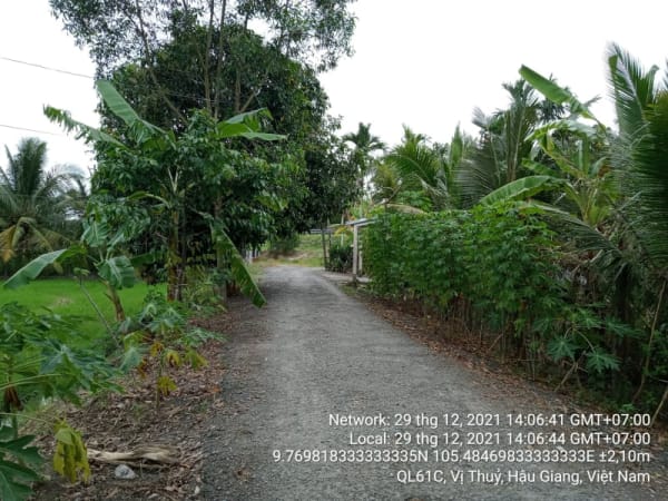 VT74 Đường Vị Bình B, Phường 3, từ Kênh Vị Bình đến Kênh ranh huyện Vị Thuỷ - Ảnh 3