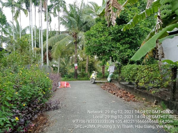 VT74 Đường Vị Bình B, Phường 3, từ Kênh Vị Bình đến Kênh ranh huyện Vị Thuỷ - Ảnh 4