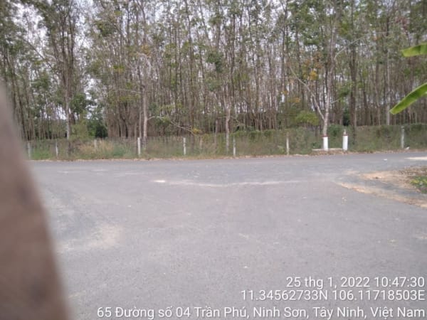 TN10-Đường số 22(Giáp ranh phường Ninh Sơn đến Ngã 4 Bình Minh) - Ảnh 5