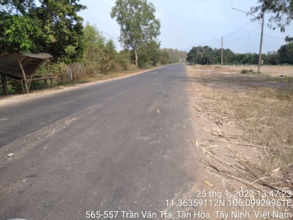 TN66-TRẦN VĂN TRÀ (Ranh phường 1 đến Cầu Gió) - Ảnh 5