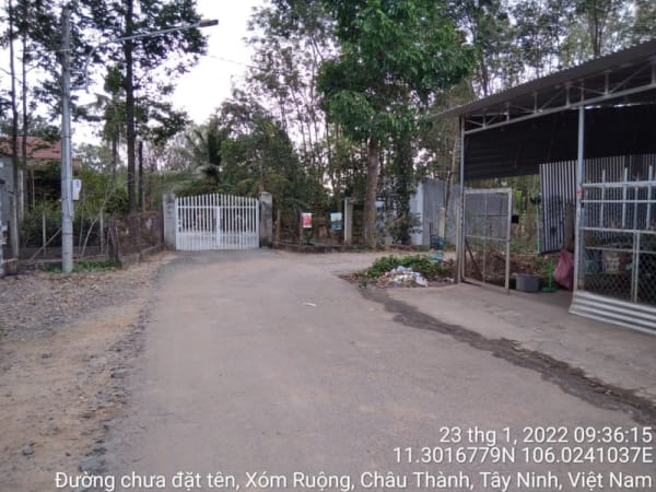 CT46 Đường liên xã Trí Bình-TT (từ Đường 781 đến Hết đường nhựa (cách Trường mẫu giáo Trí Bình 100 mét)) - Ảnh 3