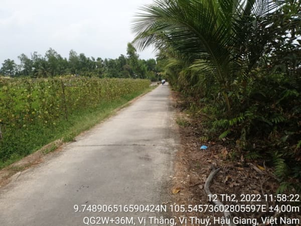 VTY 116 các tuyến bê tông / nhựa còn lại dưới 3m - Ảnh 2