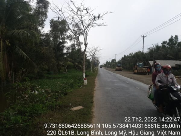 LM 42 ql 61b, phường Vĩnh Tường, từ phía đối diện ql61 : lộ ba suy đến cầu giồng sao - Ảnh 4