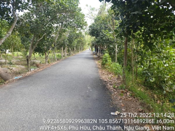 CT62, xã Phú Tân, suốt tuyến - Ảnh 1