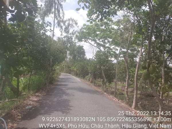 CT62, xã Phú Tân, suốt tuyến - Ảnh 2