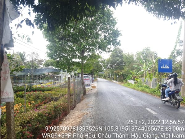 CT59, xã Phú Hữu, suốt tuyến - Ảnh 2