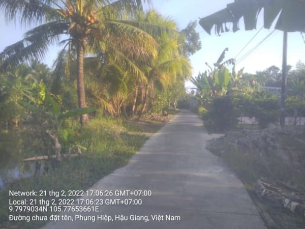 PH50(2) lộ nông thôn xã Phụng Hiệp xã Phương Bình cũ - Ảnh 3